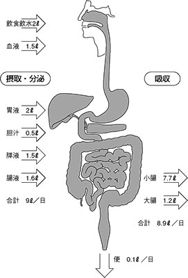 特集２ 腸閉塞ってどんな病気 おう吐 腹痛 排便 排ガス停止 我慢せず 早めに病院へ 青森 健生病院外科科長 鈴木隆太 全日本民医連