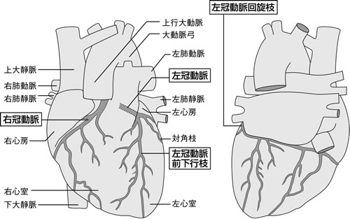 心臓 の 裏側 が 痛い