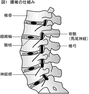 関連画像