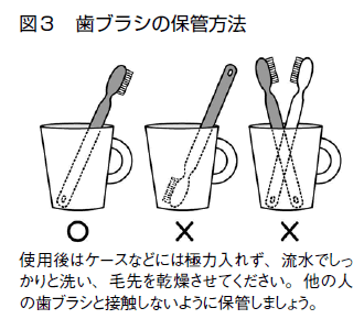 特集２ むし歯予防 歯ブラシの選び方と正しい磨き方 全日本民医連