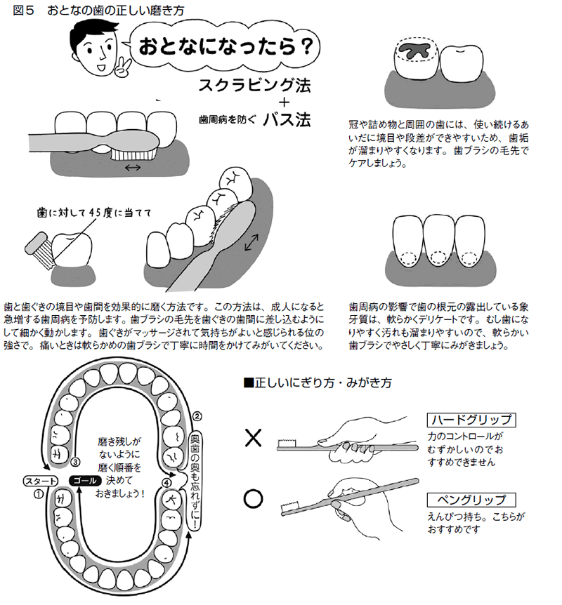 特集２ むし歯予防 歯ブラシの選び方と正しい磨き方 全日本民医連