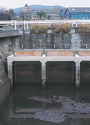 hangeul_genki_200503_05