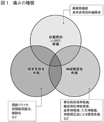 特集２ 線維筋痛症 原因不明の痛みと多様な症状をともなう 全日本民医連