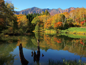 紅葉が美しい秋山郷の天池（栄村提供）