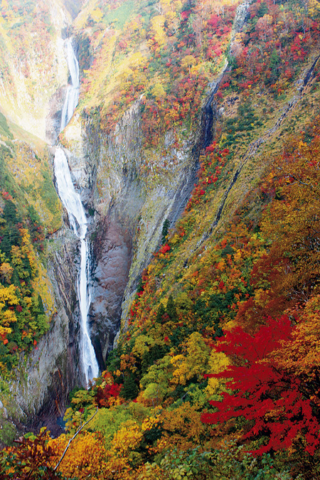 落差350mと日本一の称名滝（立山黒部貫光株式会社提供）