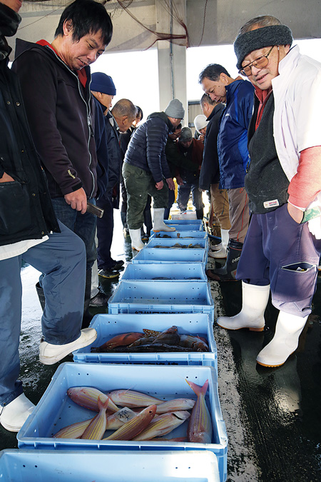 堺地区の港には新鮮な魚を求めて仲買人が町内外から集まる