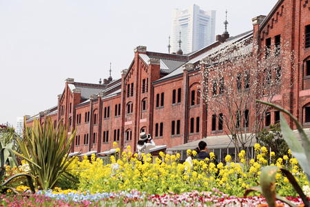 横浜赤レンガ倉庫は年間を通して様々なイベントが開催されている