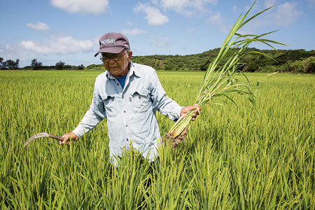 田んぼの雑草を取りにきた翁長孝夫さん