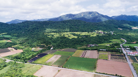 石垣島の自衛隊基地建設予定地。後方に見えるのが於茂登岳