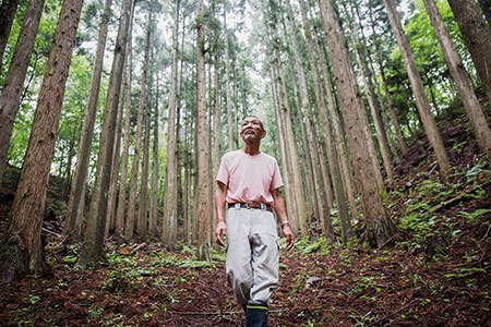 「100年の杉の森」を育てる芳賀正彦さん