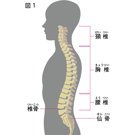 けんこう教室 腰痛 全日本民医連