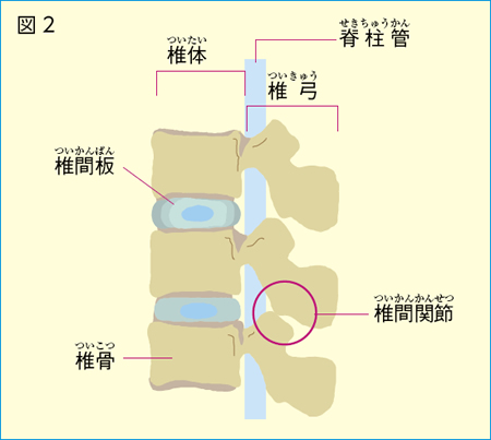 図2