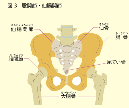 けんこう教室 腰痛 全日本民医連