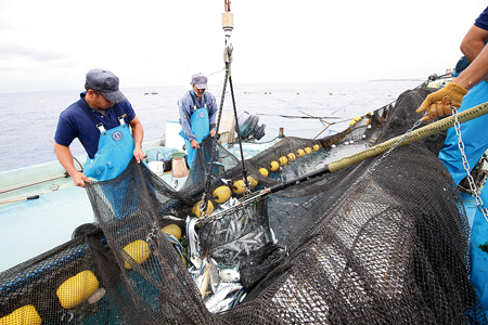 定置網漁の見学と体験は、夏場は予約でいっぱいになるほど人気