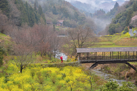 のどかな里山の風景に溶け込む木造の屋根付き橋（内子フォトコンテスト実行委員会提供）