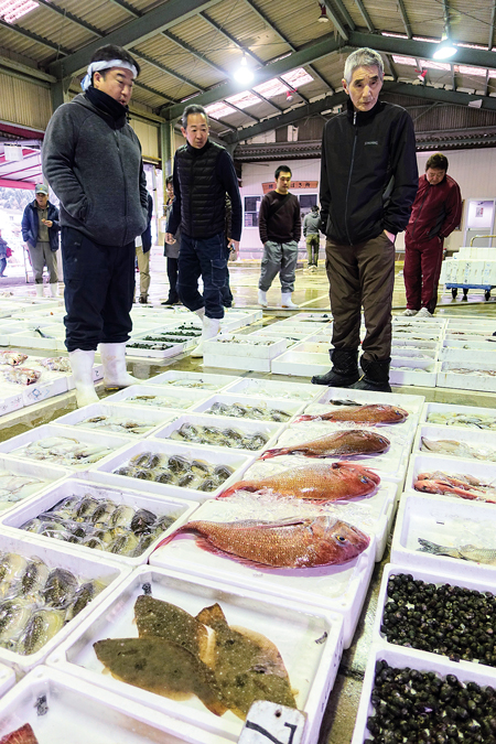 さまざまな魚介類が並ぶ大神漁港の朝市。仲買人を通して一般客もお得に購入できる