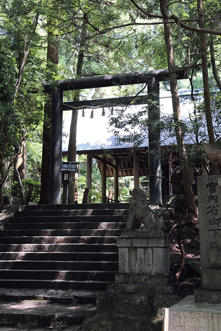 石畳の長い階段を上った先に現れる千早神社はパワースポットとしても知られる
