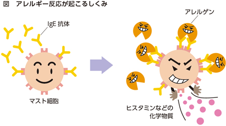 けんこう教室 花粉症 全日本民医連