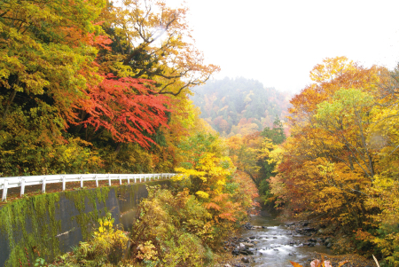 美しい秘境の地の趣がある照葉峡の紅葉（みなかみ町観光協会提供）