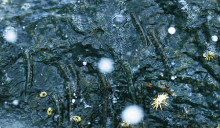 2021年 大宜味村