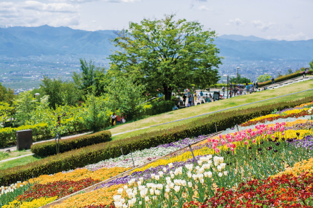 笛吹川フルーツ公園からは富士山や南アルプスの絶景も楽しめる（笛吹川フルーツ公園提供）