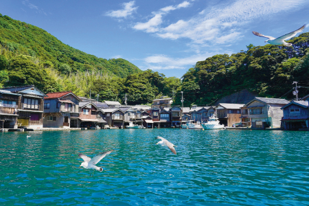 まるで海に浮かんでいるかのように建ち並ぶ「伊根の舟屋」