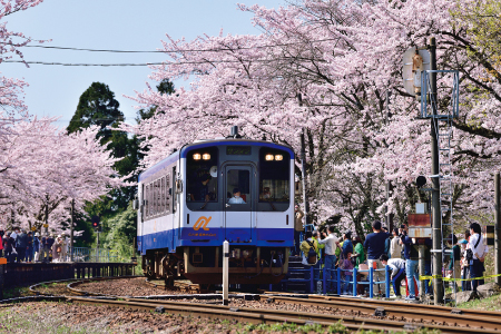 「能登さくら駅」の愛称で人気の能登鹿島駅（石川県観光連盟提供）