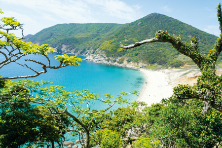 白い砂浜とコバルトブルーの海が美しい野首海岸（野崎島）