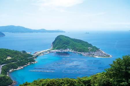 海洋生物が豊富でダイビングスポットとしても人気の柏島