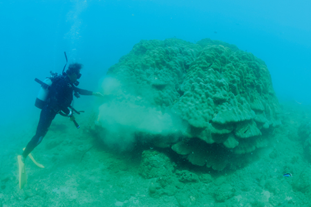 2025年8月、沖縄県国頭村