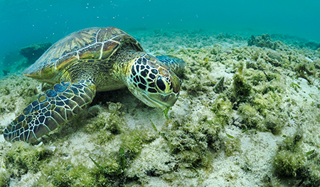 2025年8月、沖縄県糸満市